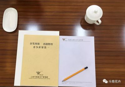 構建標準化會務服務體系，鑄就卓越賓客體驗